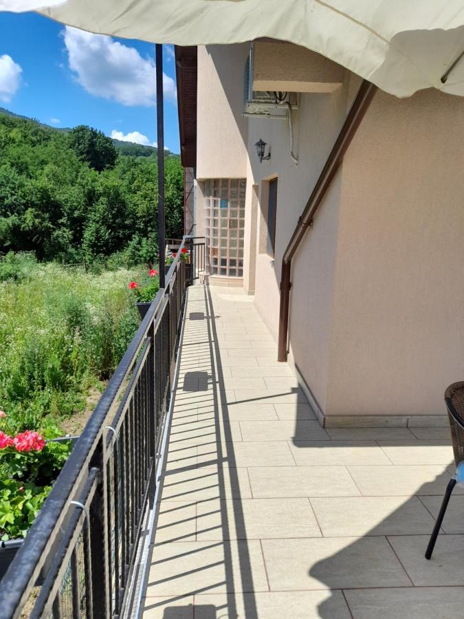 Villa Casa Zoe Seaca Călimăneşti Exterior foto