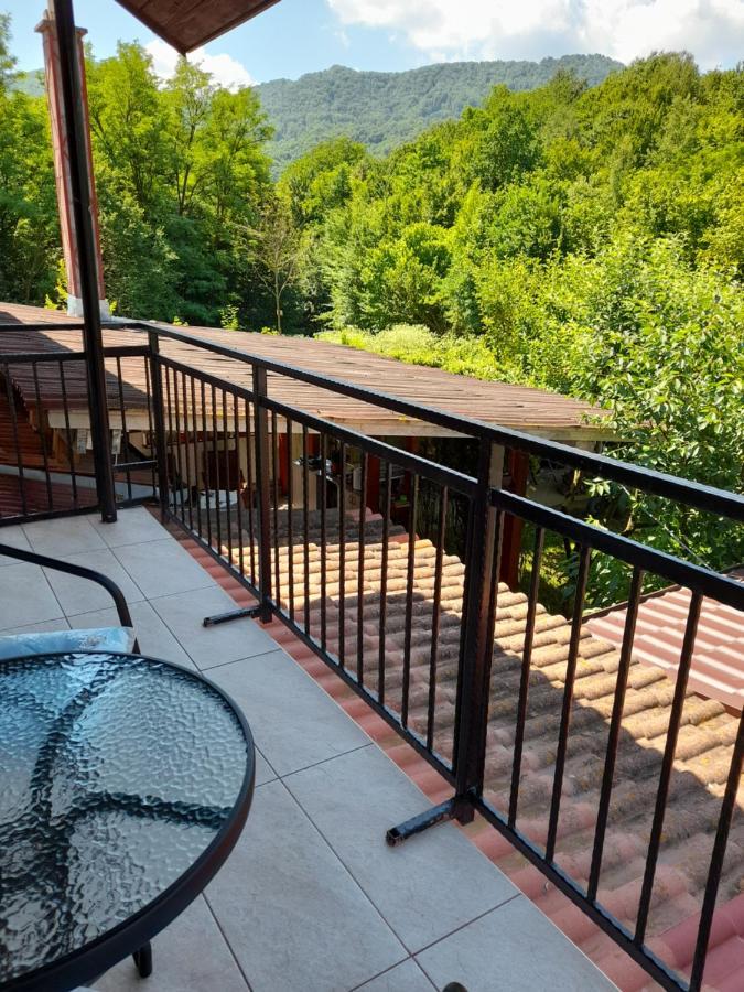 Villa Casa Zoe Seaca Călimăneşti Exterior foto